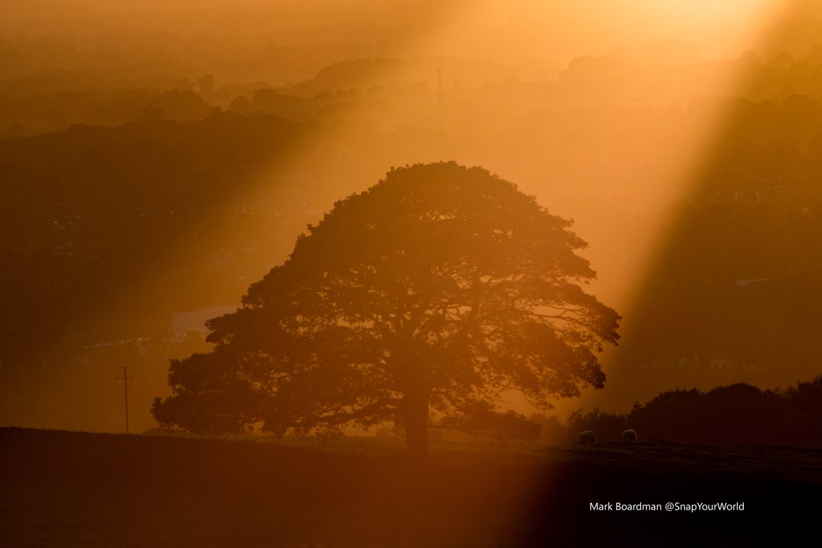 #ThePhotoHour tweet media