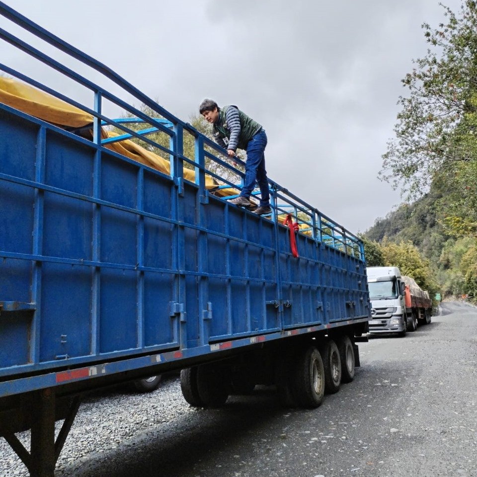 sagchile's tweet photo. Producto del aumento del transporte de ganado desde provincia de #Palena hacia ferias de la región, @sagchile #Chaitén incrementó la fiscalización para verificar porte de formulario de movimiento animal y dispositivo de identificación individual #DIIO en los animales. https://t.co/QATlAIgpKD