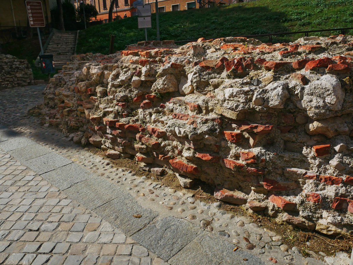 Forest:Archaic Collective tweet media