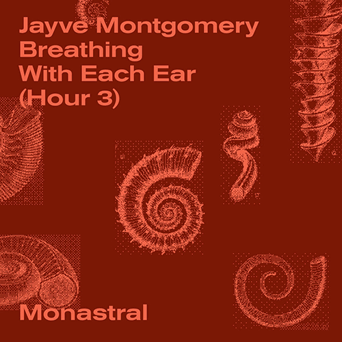 O B L A D A D A tweet media