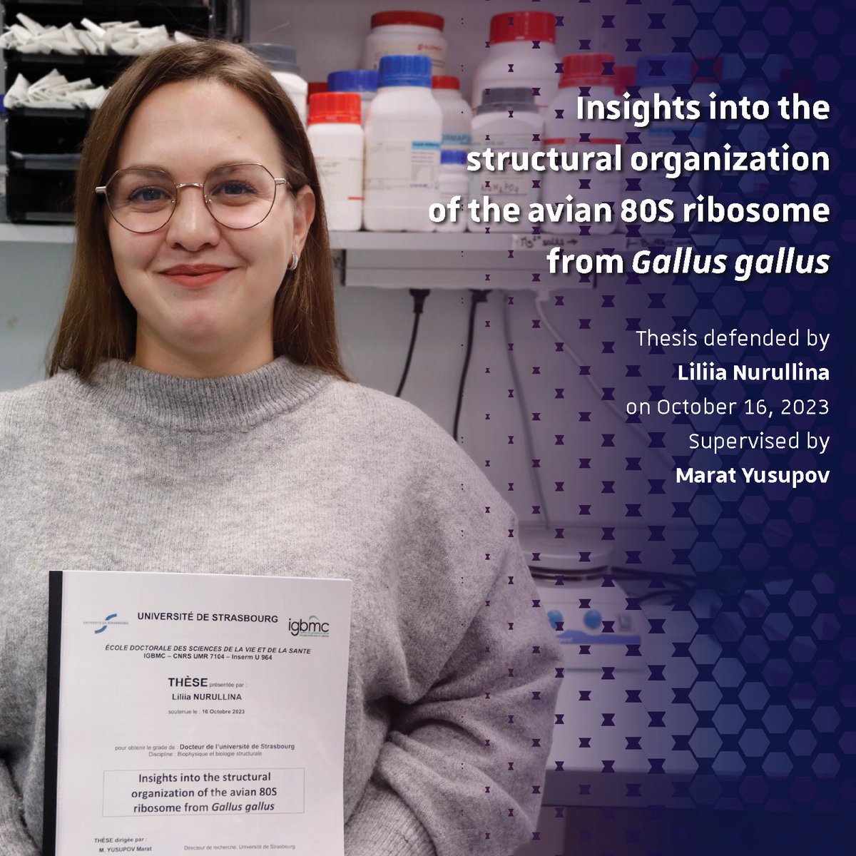 👏 Congrats to Liliia Nurullina for her thesis lead by Marat Yusupov. With her thesis, she was able to provide an analysis of avian 80S #ribosome from cold-treated chicken #embryos, achieved at 2.4Å resolution via single-particle #cryoEM. 📰 urlz.fr/oA3s