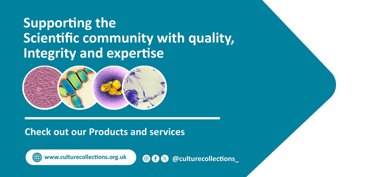 We are looking for a Quality Administrator to join the Culture Collections Team.  
Find out more and apply on Civil Service Jobs: bit.ly/47ntKx7 
#Quality <a href="/NCPV/">National Collection of Pathogenic Viruses</a> <a href="/ECACC/">ECACC</a> <a href="/TheNCPF/">National Collection of Pathogenic Fungi</a> <a href="/UKHSA/">UK Health Security Agency</a>