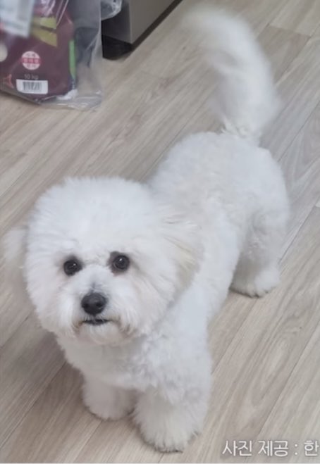 hansoftbot's tweet photo. WE GOT NEW BBAMA PICTURES 😭😭 https://t.co/NJWjCfLdk4
