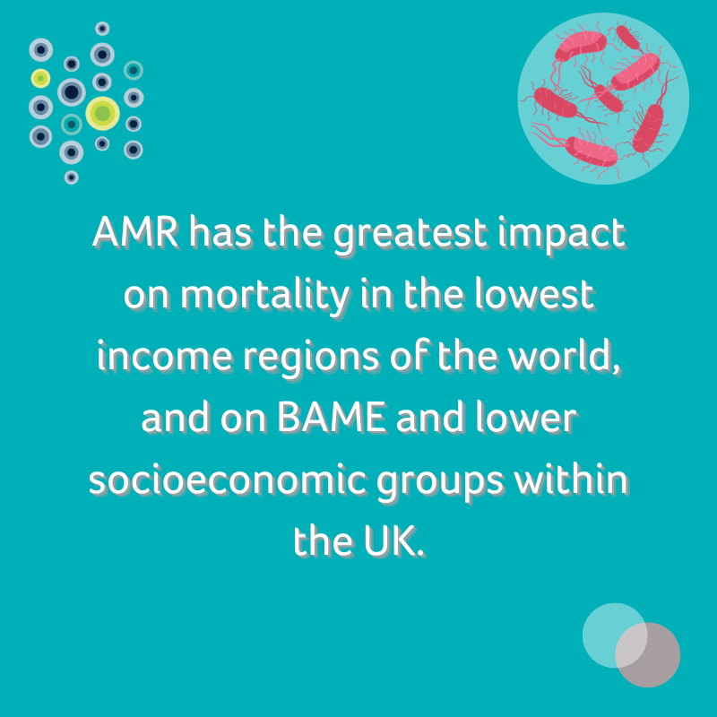 HIS_infection's tweet photo. World AMR Awareness Week!🌐
In this @IPIP_Open paper Rashmeet Bhogal et al examine the impact of spurious penicillin allergy on AMS in BAME patient groups, barriers to best practice and strategies to overcome these.
Download the paper for free 📑 https://t.co/yAzQ4vxH5H
#WAAW
