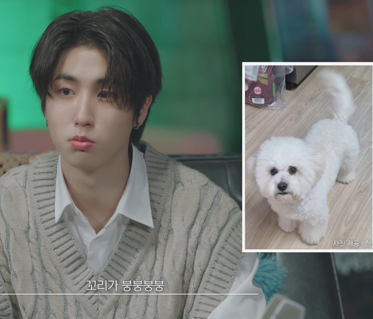 smolsungies's tweet photo. BBAMA I MISS YOU😭😭😭😭😭😭😭😭😭😭😭😭😭😭😭😭 https://t.co/zEXl5yNtuS