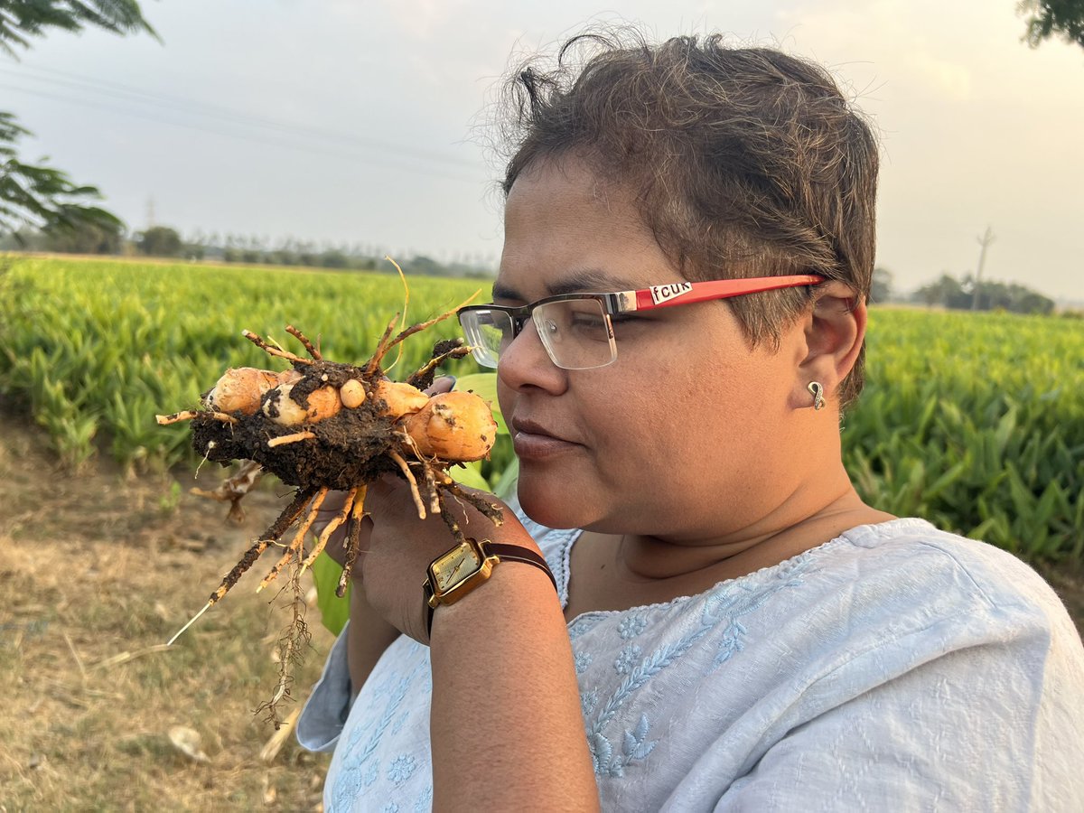 payalmehta100's tweet photo. Time to wake up and smell fresh haldi
#polldiary #Nizamabad https://t.co/184V40BXlc