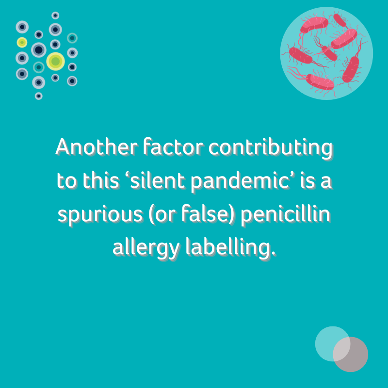 HIS_infection's tweet photo. World AMR Awareness Week!🌐
In this @IPIP_Open paper Rashmeet Bhogal et al examine the impact of spurious penicillin allergy on AMS in BAME patient groups, barriers to best practice and strategies to overcome these.
Download the paper for free 📑 https://t.co/yAzQ4vxH5H
#WAAW