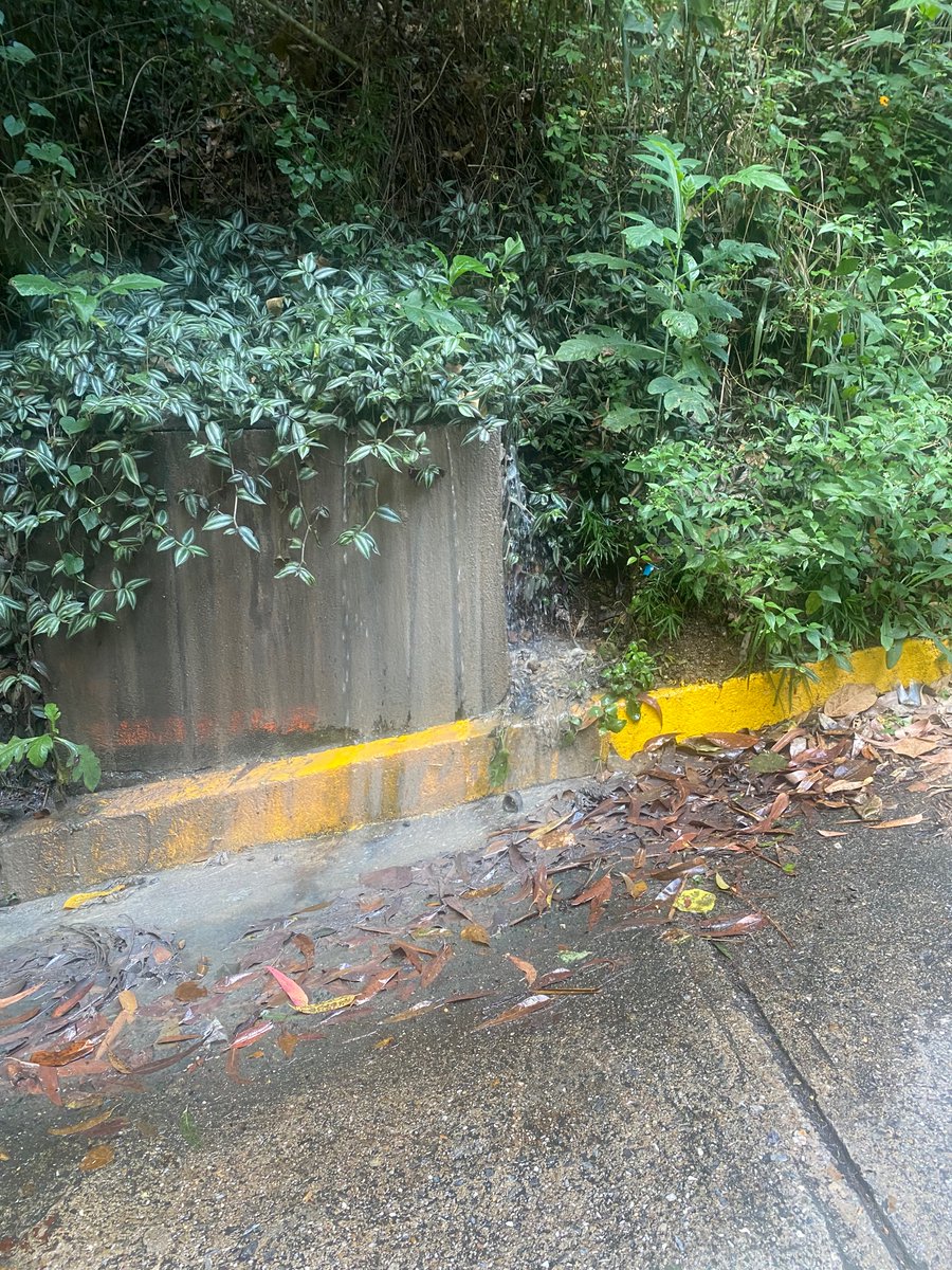 chinokit's tweet photo. @CigarralAccion Bote de aguas negras por más de dos semanas por la Residencia Terraza de la Tahona causando daños en la vialidad pública de la Urb. El Cigarral, este tramo vial fue asfaltado hace poco meses y anteriormente se encontraba muy deteriorado por el mismo problema. https://t.co/MYG5xDaO9J