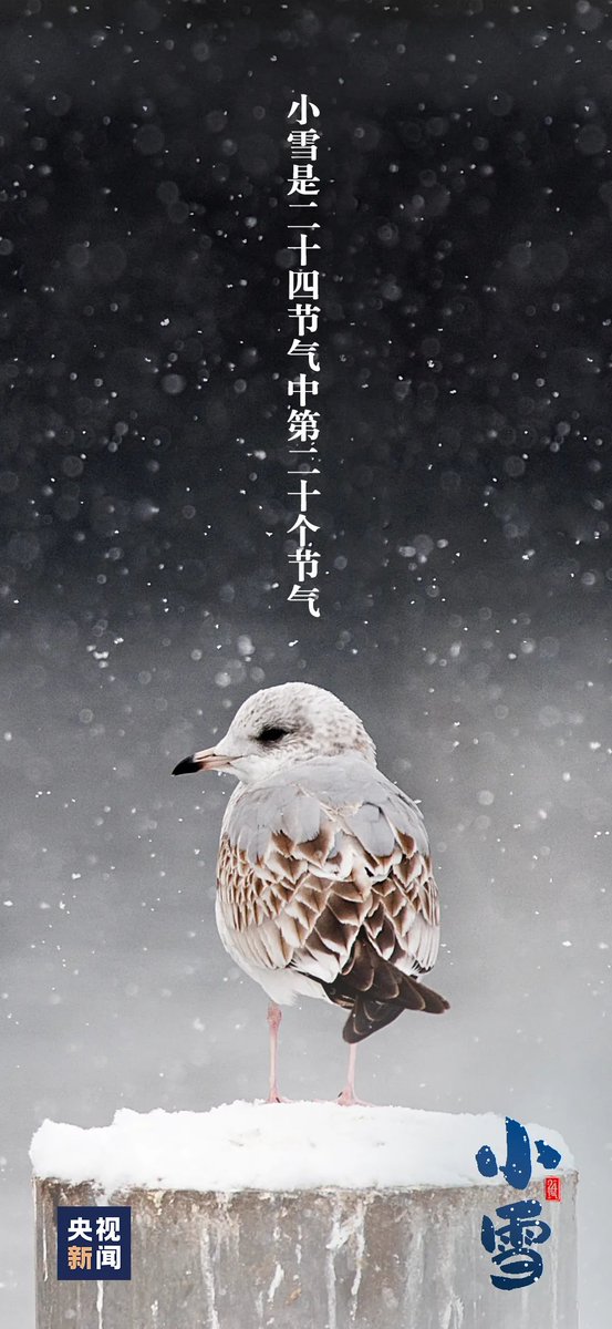 Minor Snow｜今日小雪(图片来源：央视新闻)