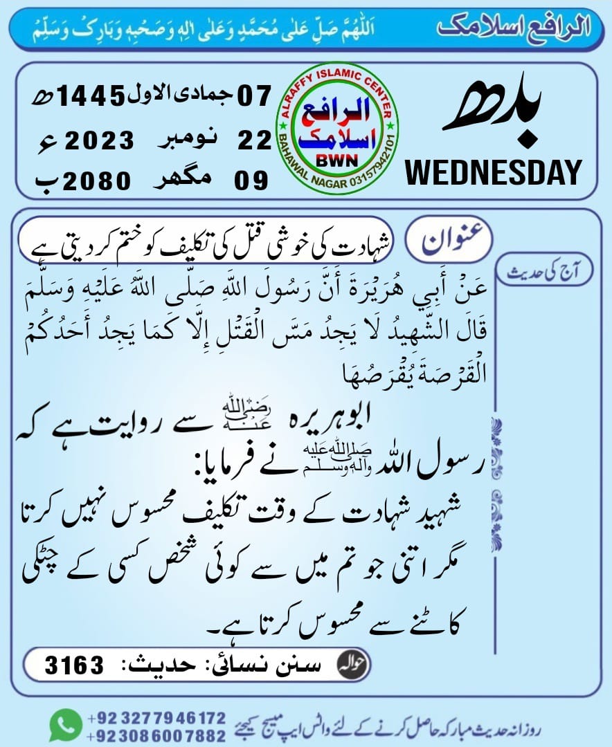 ‏◉✿محـــــــIDREESــــــــمد✿◉ tweet media