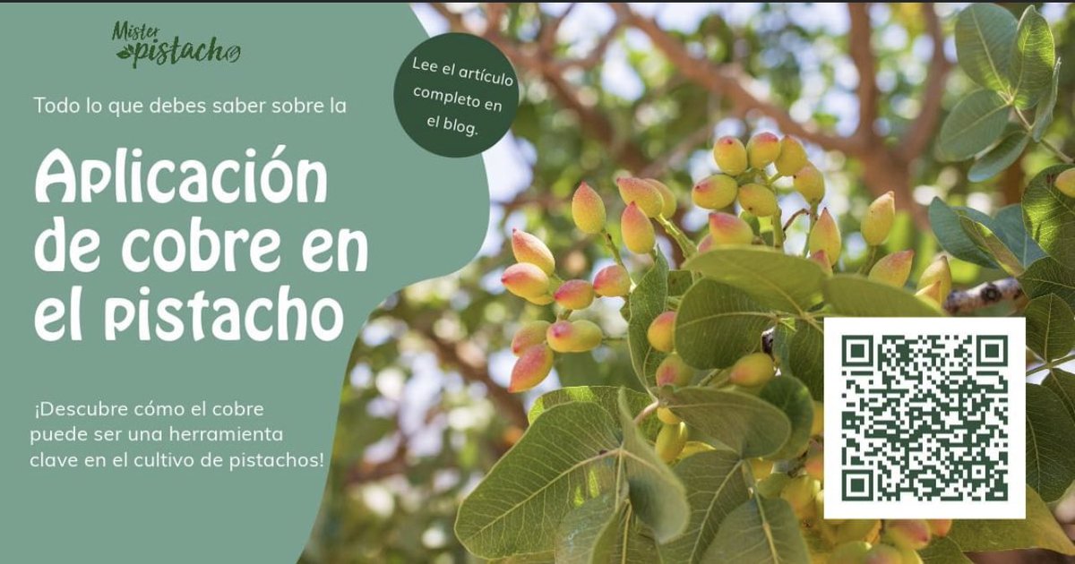 javiermg76's tweet photo. 📢¡𝐍𝐮𝐞𝐯𝐚 𝐞𝐧𝐭𝐫𝐚𝐝𝐚 𝐞𝐧 𝐧𝐮𝐞𝐬𝐭𝐫𝐨 𝐛𝐥𝐨𝐠 𝐪𝐮𝐞 𝐧𝐨 𝐭𝐞 𝐝𝐞𝐛𝐞𝐬 𝐩𝐞𝐫𝐝𝐞𝐫! 

¡𝐃𝐞𝐬𝐜𝐮𝐛𝐫𝐞 𝐜𝐨́𝐦𝐨 𝐞𝐥 𝐜𝐨𝐛𝐫𝐞 𝐩𝐮𝐞𝐝𝐞 𝐬𝐞𝐫 𝐮𝐧𝐚 𝐡𝐞𝐫𝐫𝐚𝐦𝐢𝐞𝐧𝐭𝐚 𝐜𝐥𝐚𝐯𝐞 𝐞𝐧 𝐞𝐥 𝐜𝐮𝐥𝐭𝐢𝐯𝐨 𝐝𝐞 𝐩𝐢𝐬𝐭𝐚𝐜𝐡𝐨𝐬! https://t.co/cs19O33Of0