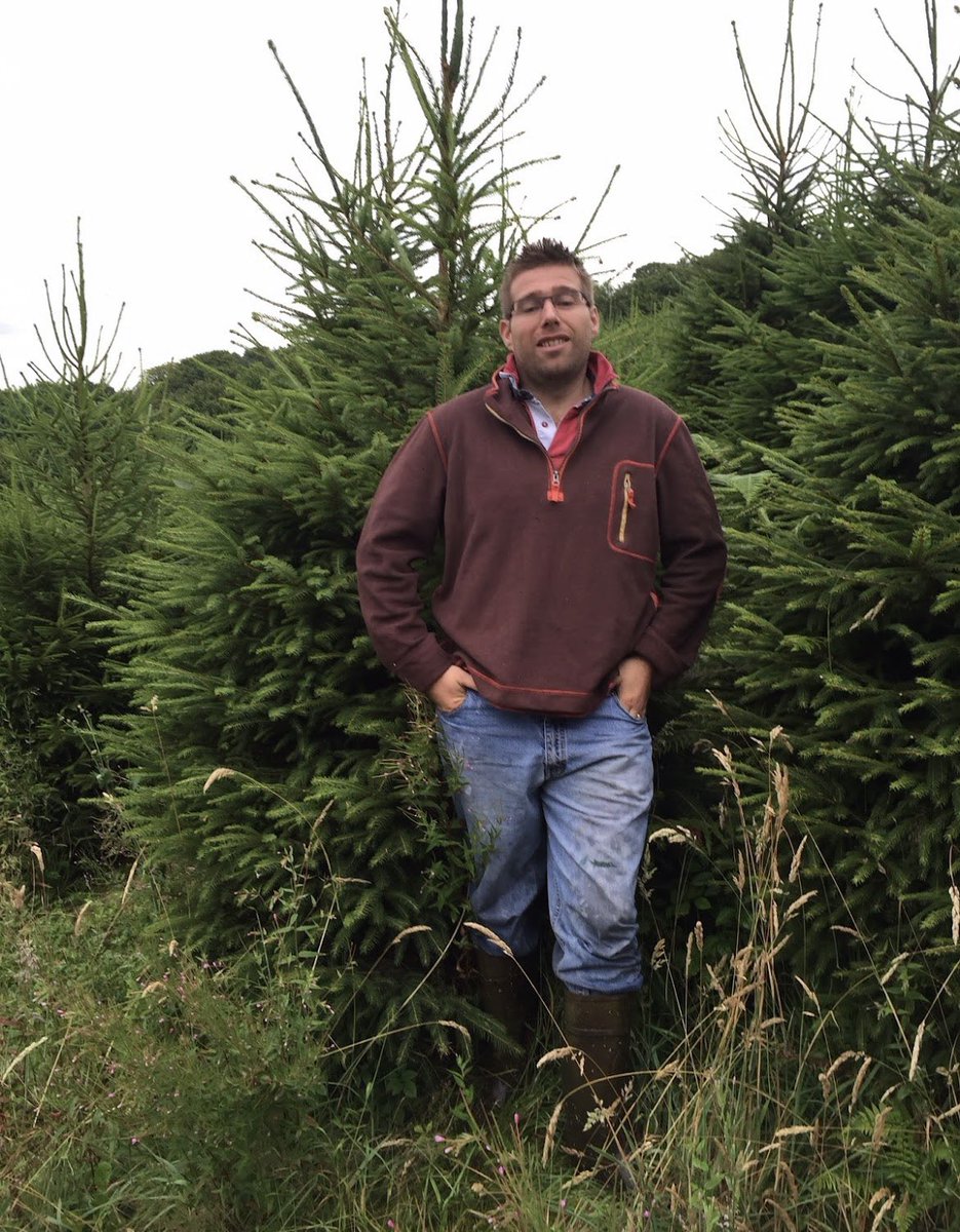 EvansofMonmouth's tweet photo. It’s a busy time of the year for Naughty Elf Harry… these lovely Christmas Trees will be freshly cut and here ready for collection / delivery from Friday 1st December 🎄🎄🎄 #naturalchritsmastreecompany 
#ChristmasTree #shoplocal #christmascountdown https://t.co/h2NbCu4fNa