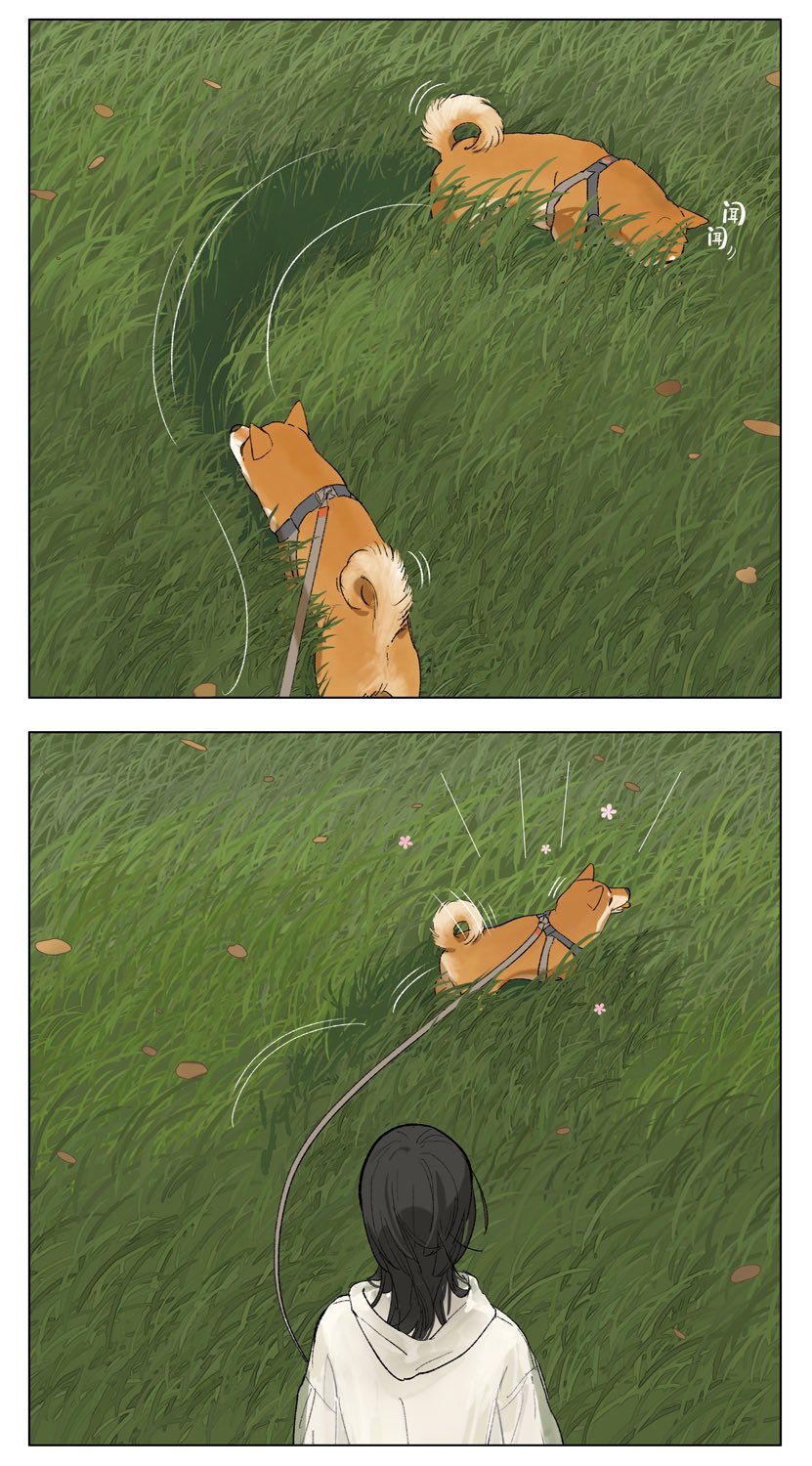 坛九 (@tanjiu9) / X 坛九 (@tanjiu9) / X