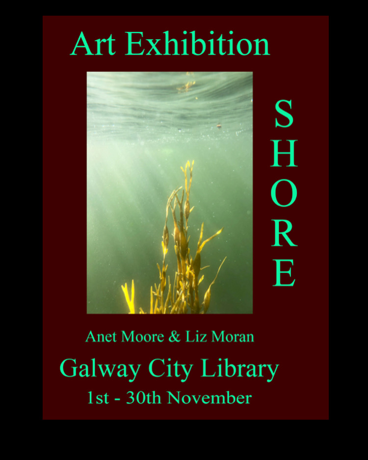 galwaycitylib's tweet image. It&apos;s your last week to see the photographic exhibition by Anet Moore and Liz Moran at Galway City Library. Pop in on your lunchbreak and take a look! #ArtAtTheLibrary #ArtExhibition #AtYourLibrary