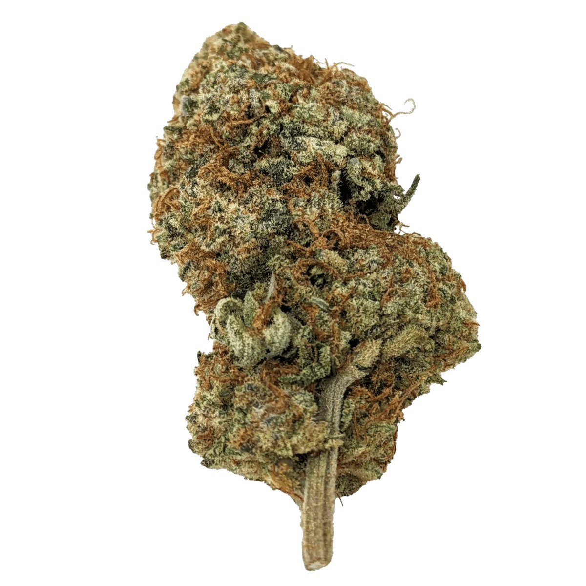 Savour the enchanting fusion of Apple Mintz 🍏🌿 - an Indica-dominant symphony of creamy lemon, spicy menthol, and sour apples. Dive into its calming embrace, perfect for unwinding into blissful tranquillity.

Head over to our website to leave a review: bud.how/ohf