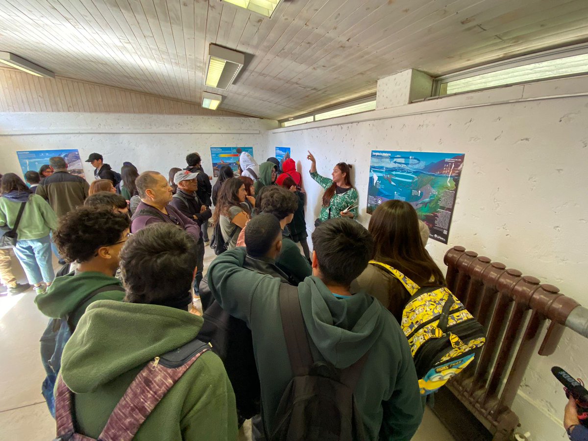 Núcleo Milenio UPWELL tweet media