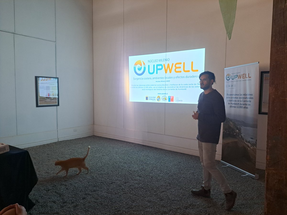 Núcleo Milenio UPWELL tweet media