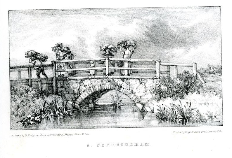 ICELibrary tweet picture