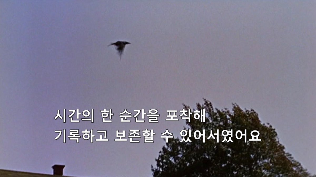 영화속거울 (@mirrorinfilm) on Twitter photo 