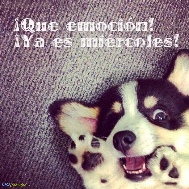 🌊🐬🐬Rusito🇻🇪❤️ tweet media