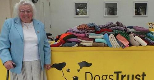 'I love knitting and I love dogs, so this combines both wonderfully!' 89-year-old knitted 450 blankets and coats for rescued dogs! God Bless you wonderful Soul! ❤️❤️