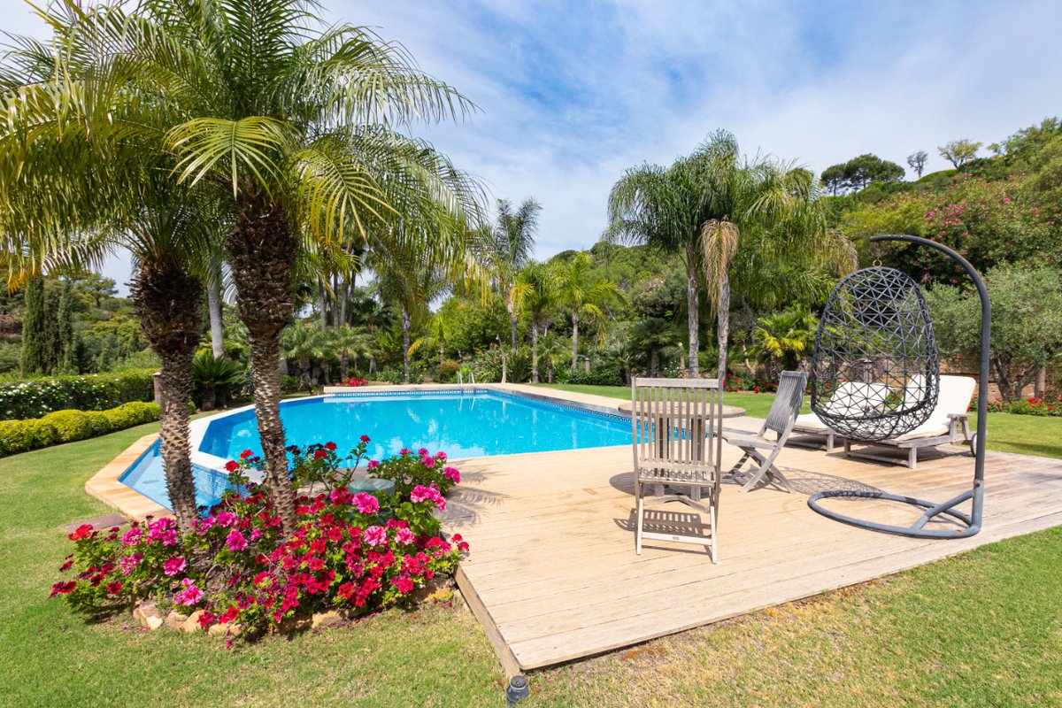 MPDunne & Hamptons International tweet media