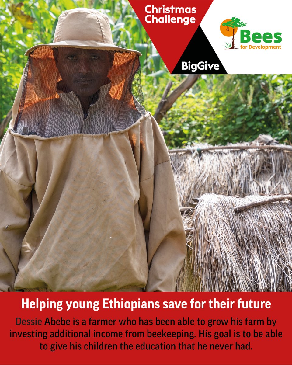 Dessie is a farmer who trained as a beekeeper with @‌BeesForDev to boost his income. With money he’s invested from honey and beeswax sales, Dessie has been able to rent more land to farm. Learn more & double your donations with @‌BigGive ➡️ beesfordevelopment.org/biggive2023