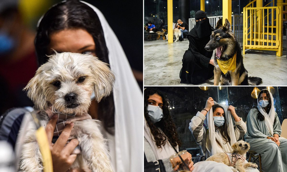 LifeSaudiArabia's tweet photo. Riyadh Season to host first ever ‘🐶Dog Festival 🐕’ international competition in Saudi Arabia 🇸🇦.
#RiyadhSeason #DogFestival #DogLovers #DogShow #PetEvent https://t.co/jga27g1nkl