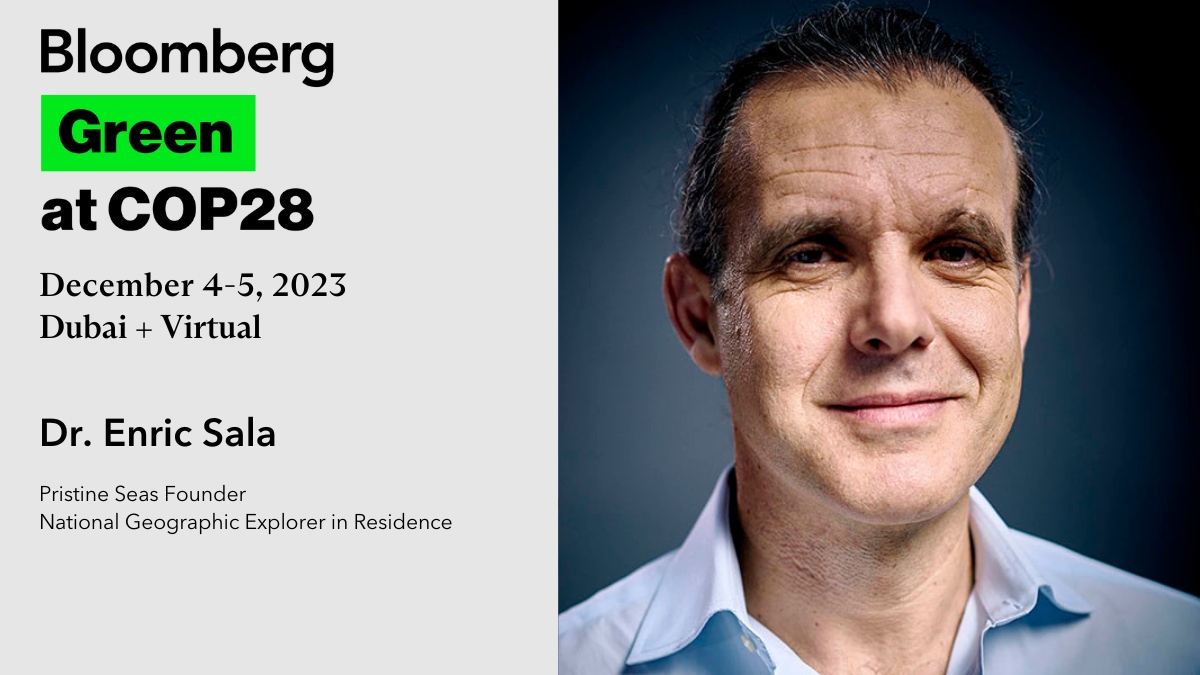 Renowned conservationist and @NatGeo Explorer in Residence @Enric_Sala takes us inside the Pristine Seas project, a global effort to protect our oceans, boost biodiversity and ensure livelihoods for billions of people. #BloombergGreen, 4-5 December. bloom.bg/47wzp3H