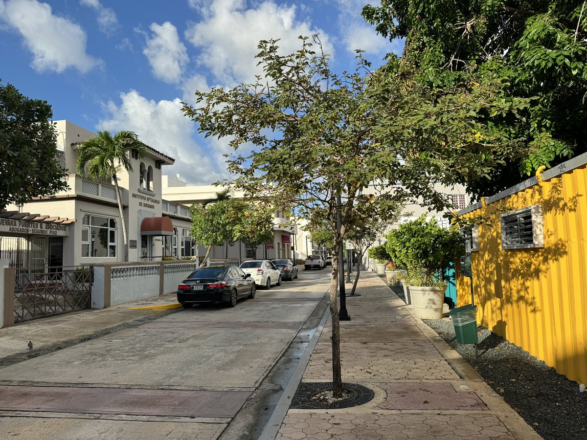 davsot's tweet photo. Buenos días Bayamón 🌳🚇🏛️🚍 https://t.co/kG4uM9gIaE