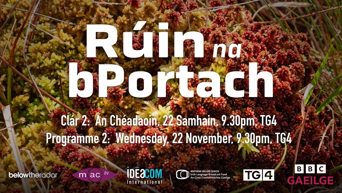 Trinity College Dublin (@tcddublin) on Twitter photo WATCH 📺: Tonight, 9:30pm, Prof Helen Sheridan <a href="/NatProTCD/">NatProCentre</a> <a href="/TCDPharmacy/">TCD Pharmacy</a> features in this <a href="/TG4TV/">TG4</a> documentary series to talk about the potential therapeutic & commercial uses of native Irish bog plants, including bog myrtle. Tune in! #researchMATTERS #TrinityResearch #TrinityExperts WATCH 📺: Tonight, 9:30pm, Prof Helen Sheridan <a href="/NatProTCD/">NatProCentre</a> <a href="/TCDPharmacy/">TCD Pharmacy</a> features in this <a href="/TG4TV/">TG4</a> documentary series to talk about the potential therapeutic & commercial uses of native Irish bog plants, including bog myrtle. Tune in! #researchMATTERS #TrinityResearch #TrinityExperts