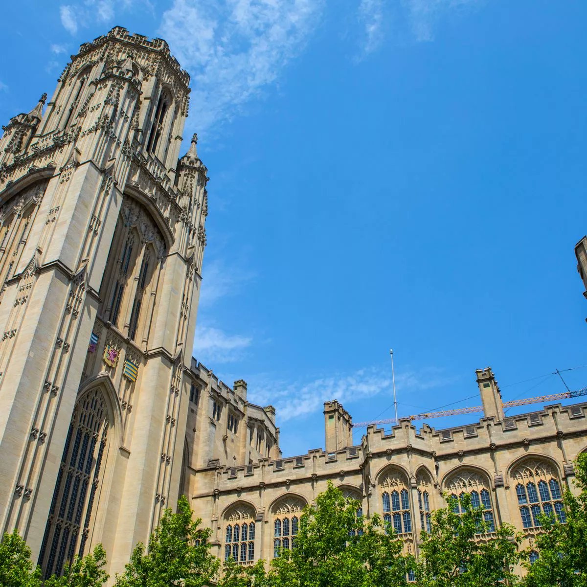 Phil Donoghue tweet media