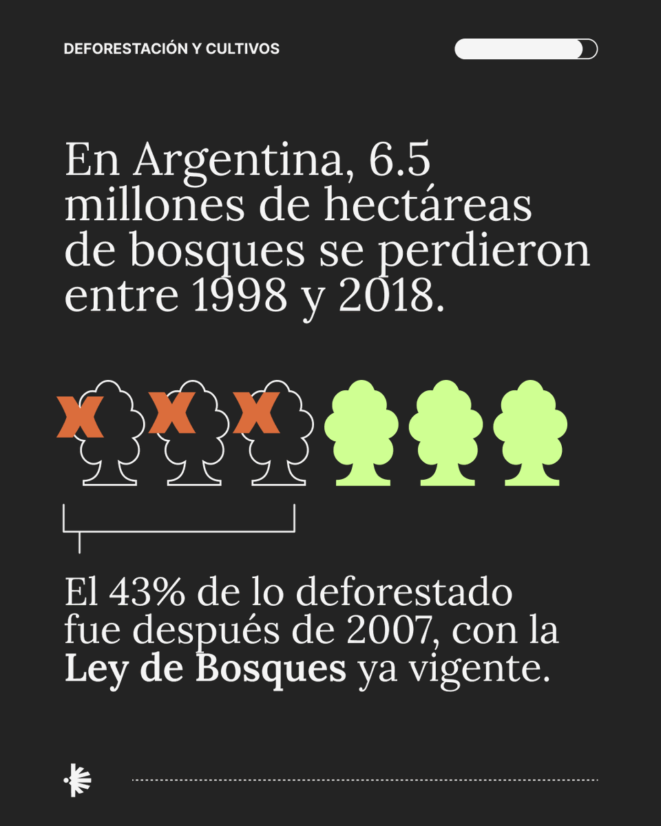 somosreflejar's tweet photo. 6,5 MILLONES DE HECTÁREAS MENOS DE BOSQUES https://t.co/1S2VBbJWdJ