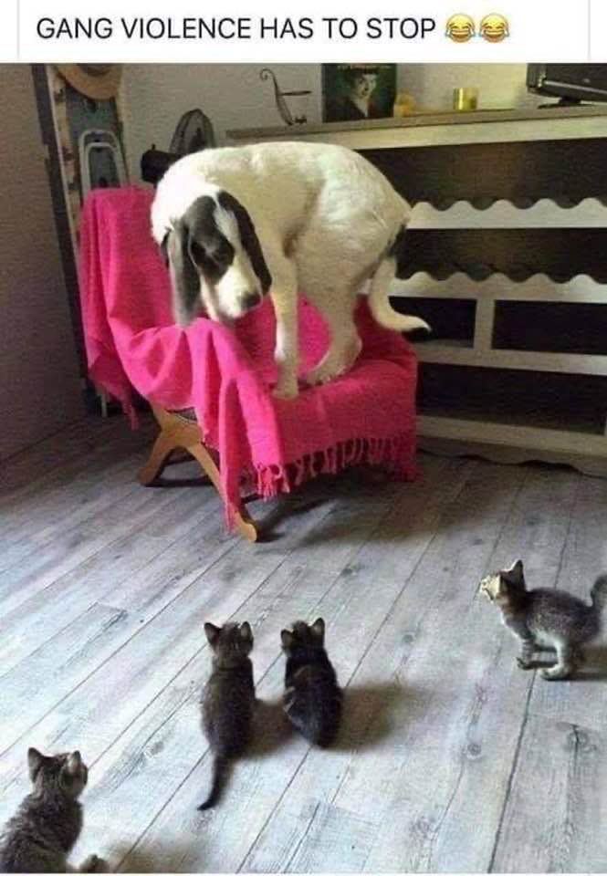 AriaaJaeger's tweet photo. Be aware that you are the living experience of the laws of cause and effect. Ariaa Jaeger #Ariaaisms https://t.co/5g1FabEdaH