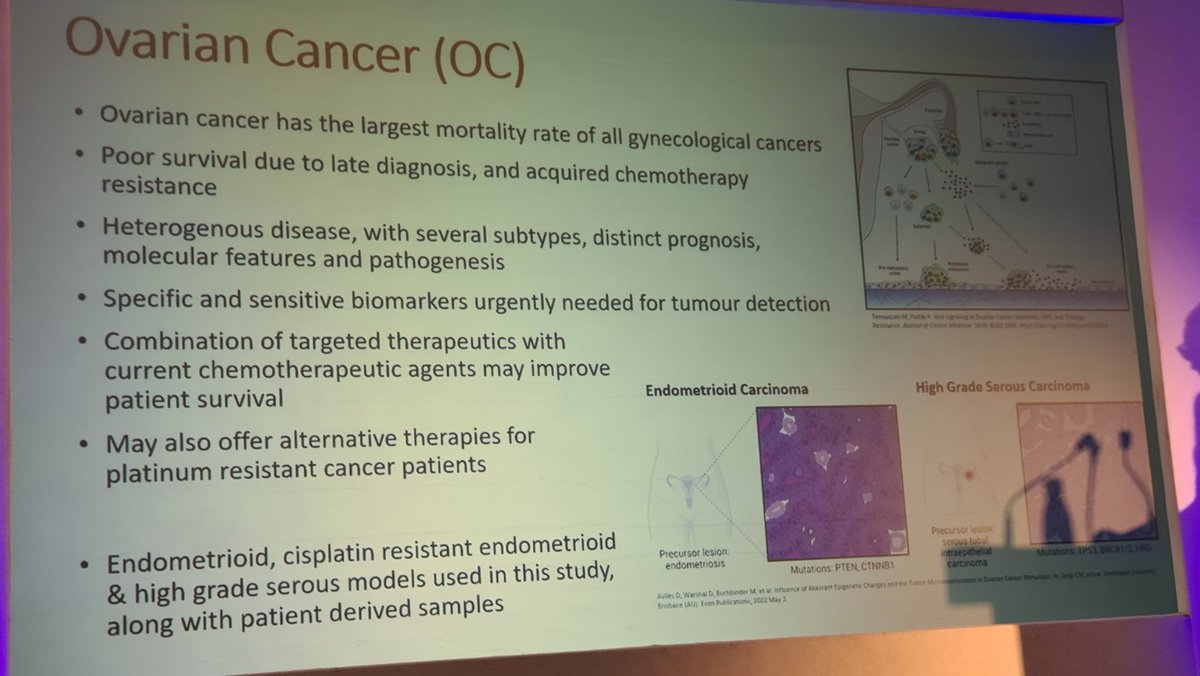 Ovarian cancer and Antibody Drug Conjugates by Dr. Claire Donnelly

Exosomes (tumour promoting or supressing👇 depending on origin of cell ie healthy or cancer cell).

Could be a target for ovarian cancer/certain sub-types.

#beresearchactive
<a href="/CTMUHB_RD/">Cwm Taf Morgannwg Research & Development</a>