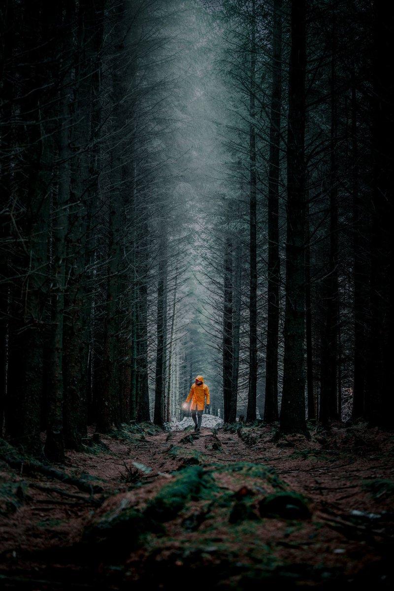 manfredteh's tweet photo. A day out exploring the forest https://t.co/S3WHQs1uW4