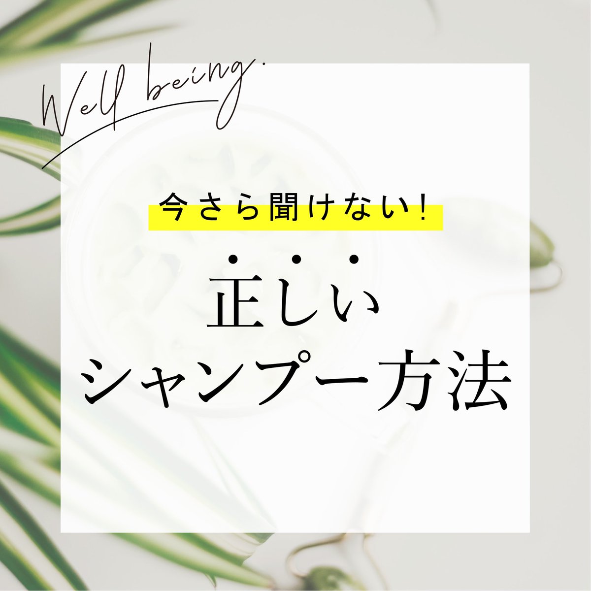 newmore_'s tweet photo. ”正しいシャンプー方法”

どんなケアをすれば髪や頭皮をいい状態にキープできる？

LINE登録お願いします！
https://t.co/wc5guVyBkE

 #シャンプー#シャンプー方法#ヘアケア#シャンプーの仕方#NEWMORE #newmore#メンズシャンプー開発中 https://t.co/6BSAookOaz