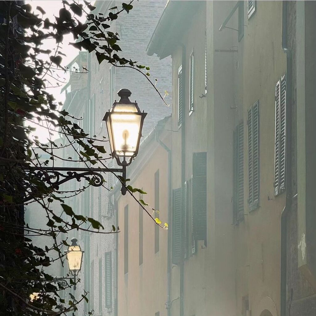 Instagramers Ferrara tweet media