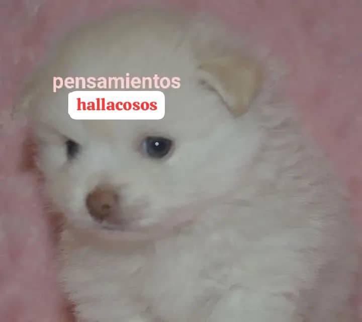 icaroAET's tweet photo. Mood: https://t.co/St0Z1tCkcb