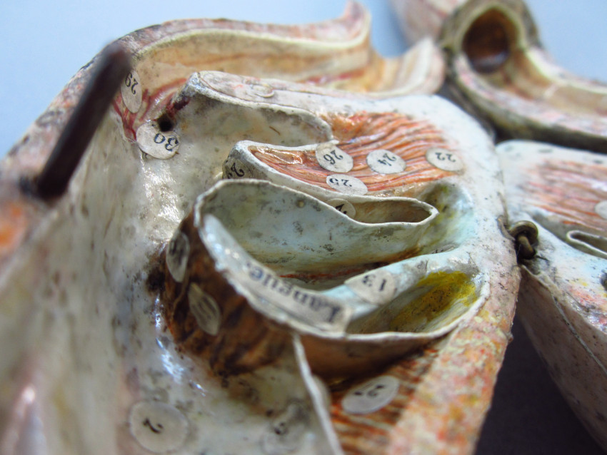 École Doctorale d'Histoire de l'Art tweet media