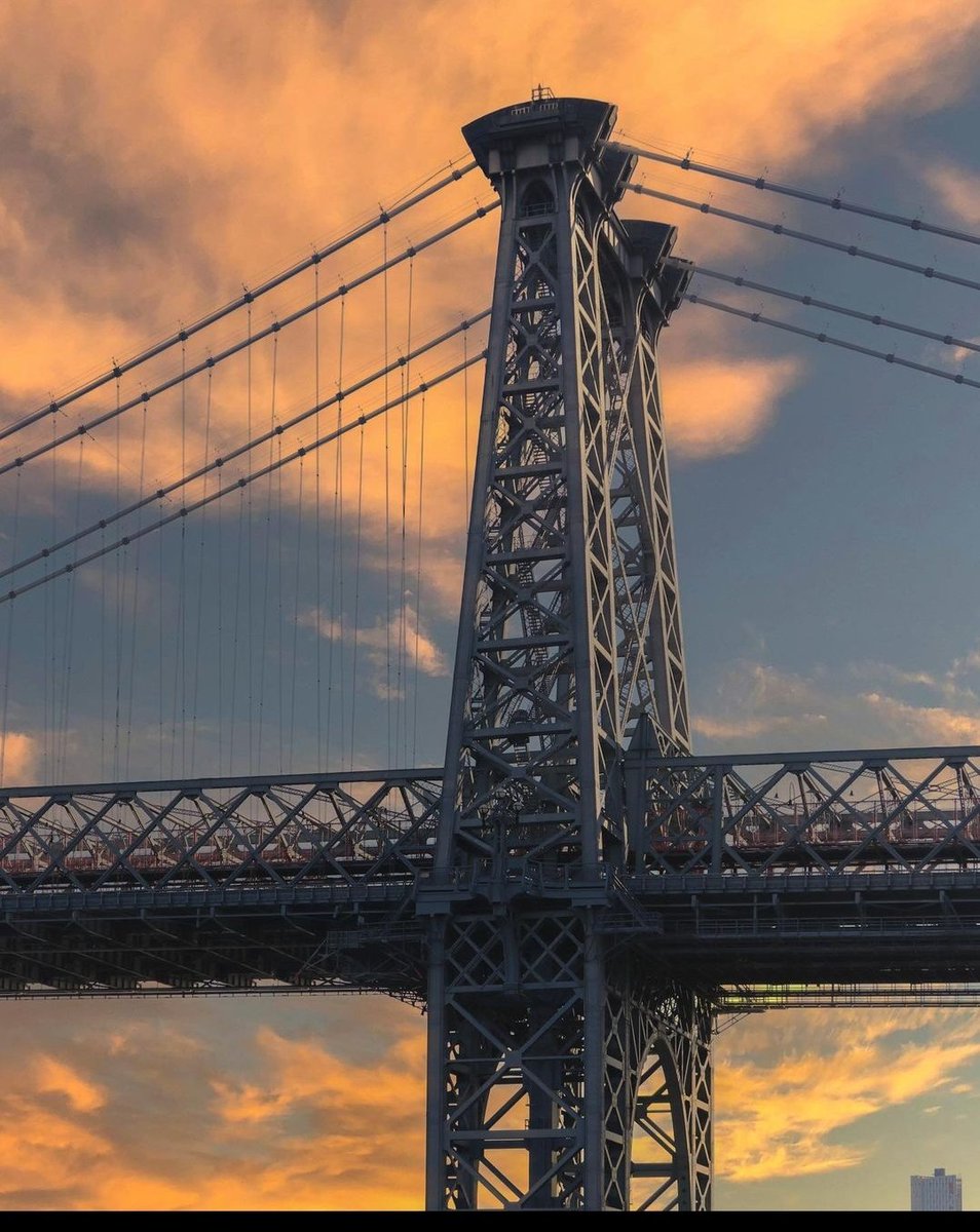 Myra9256Myra's tweet image. Good morning, beautiful peeps of X-Twitterverse.
@Alleycats321 
@LauraRiggaro 
@ltwlauren 
@bab_102 
@FredBlueVoter 
@Author_S_Miller 
@bradmanzo 
@YearOfTheViolet 
@007resister 
@jsph1959 
@stu4ny 
@black_seattle 
@padme_star 
@Myra9256Myra 
@Rubicon1313 
@Lucasdb86 
#NoAdd