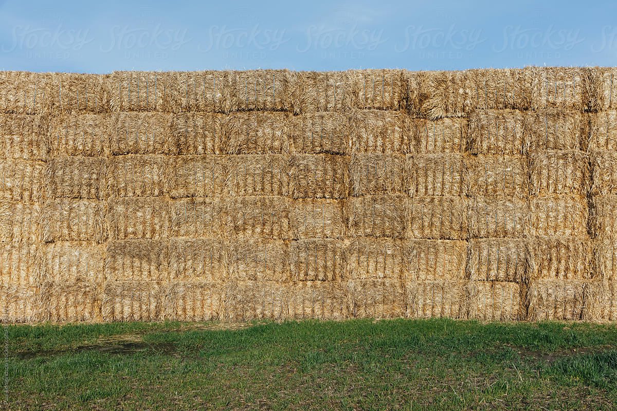 Hay in the barn! Stack’em High and Stack’em Tight, Marry’em in the middle.
#positivewednesday