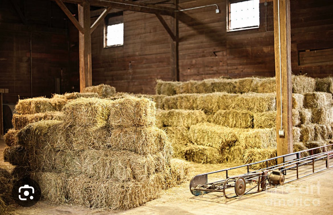 Ryan Lewis tweet media