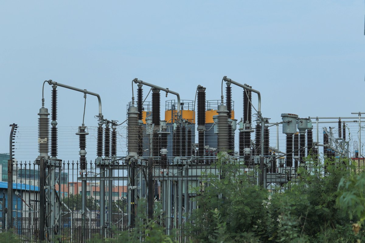 Down To Earth tweet media