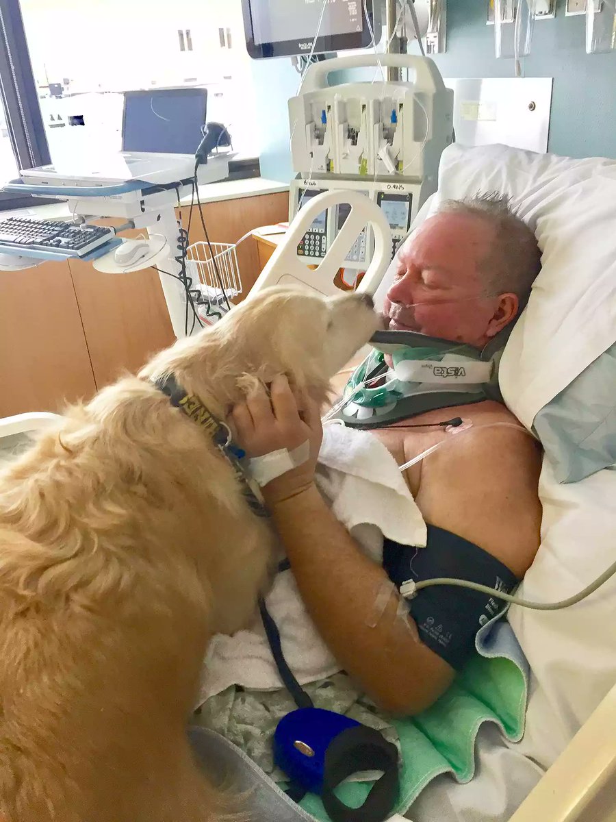 Goodable tweet media