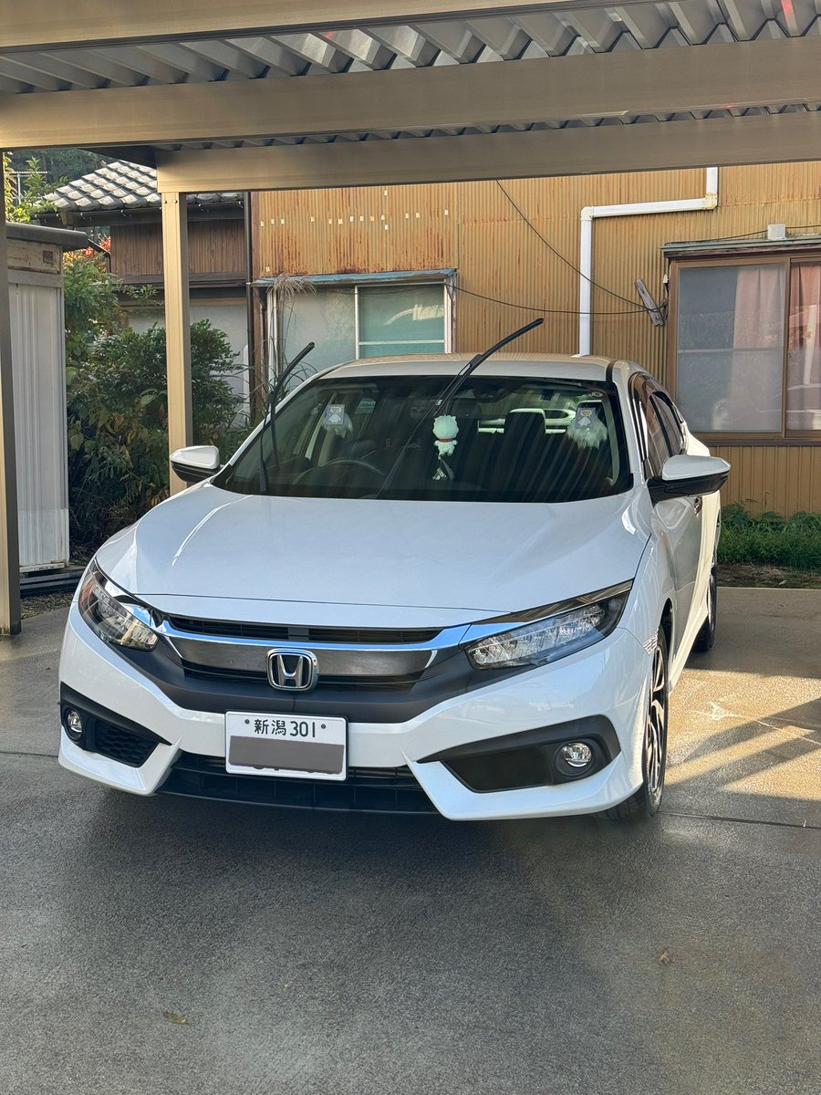 OxOLovey's tweet photo. 久しぶりに更新

名前:ゆのん。
年齢:26↑
身長:177cm
在住:新潟
愛車:Z900RS🐯
　　Z900RS🔥
　　Civic FC1
一言:フッ軽様探してます。
　　仲良くしてください

#バイク乗りと繋がりたい 
#バイク好きな人と繋がりたい 
#バイク乗りとして自己紹介 
#車乗りとして軽く自己紹介 https://t.co/uKY8hVqW1G