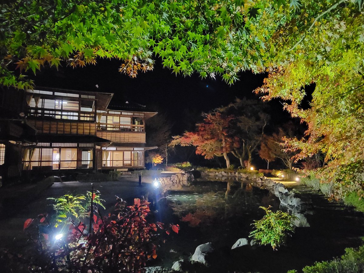 hiroki6900's tweet photo. これは俺にしてはなかなか綺麗に撮れたと思う🍁
#紅葉ライトアップ 
#豊門公園
#写真好きな人と繫がりたい 
無駄にハッシュタグつけてみた https://t.co/eCVUMONmge