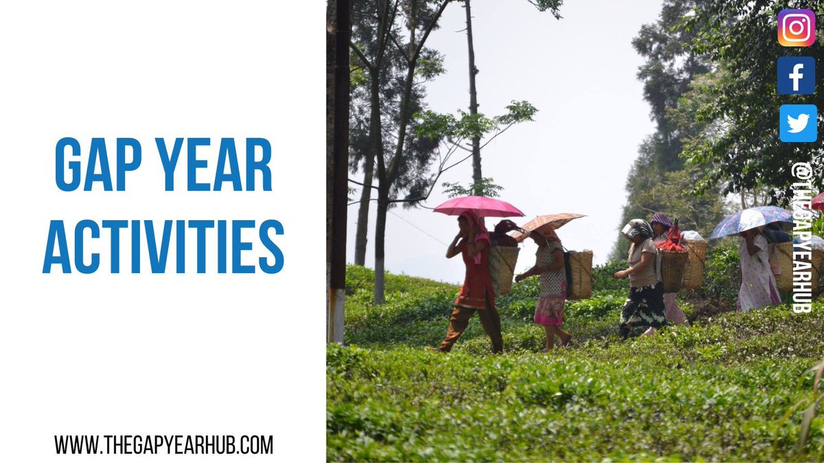 The Gap Year Hub tweet media