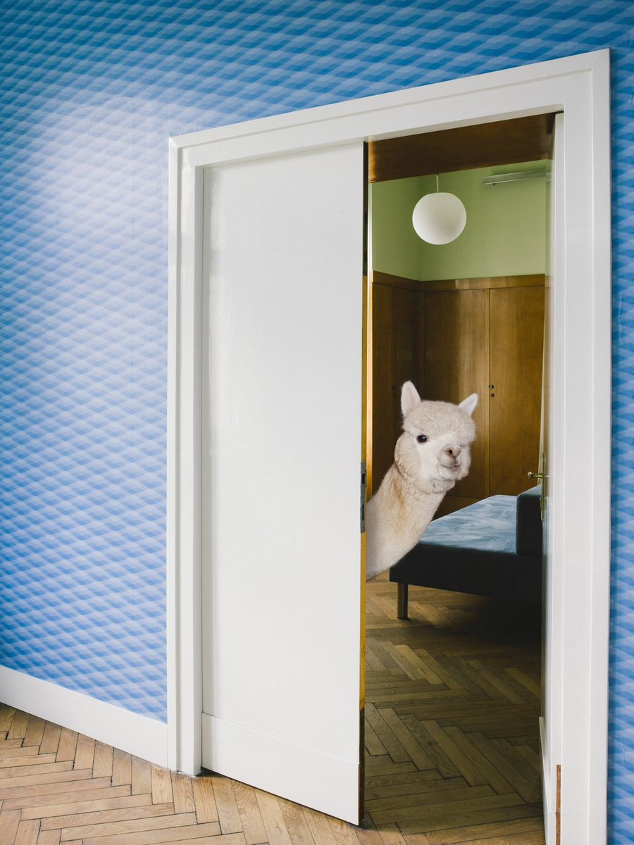 EXPANDED.ART tweet media