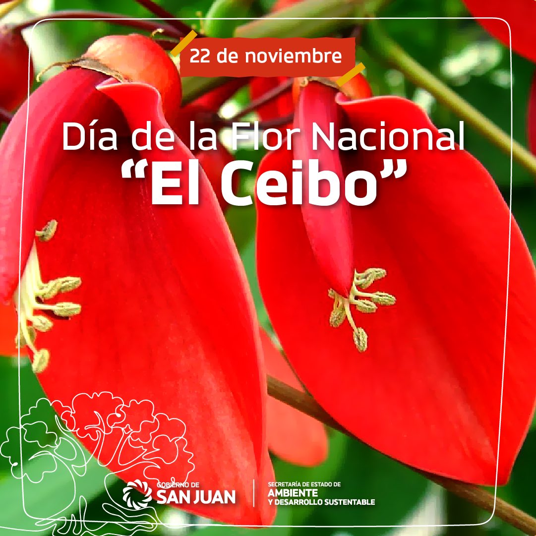 secambientesj's tweet photo. 🌹 22 de noviembre - Día de la Flor Nacional

🙌🏻 El ceibo es una especie característica de la formación denominada bosques en galería, originaria de América, especialmente de la Argentina. https://t.co/yb6qQEDdmC